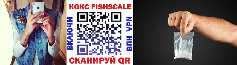 Кокаин Fish Scale  Купить  Зеленогорск 