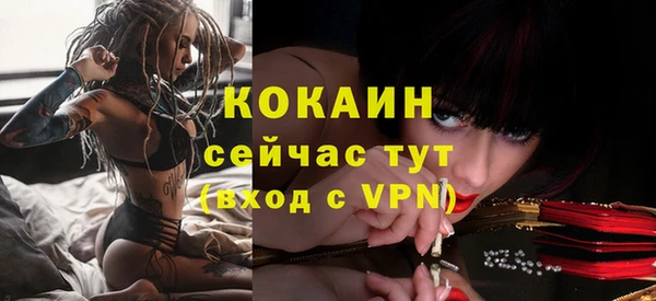 PSILOCYBIN Ладушкин