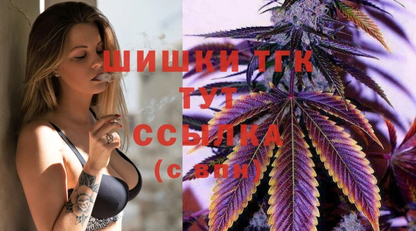 PSILOCYBIN Ладушкин