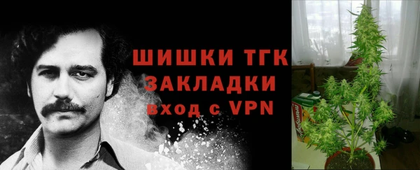 амф Лабытнанги