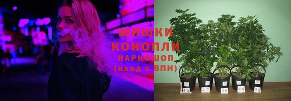 прущие грибы Лагань