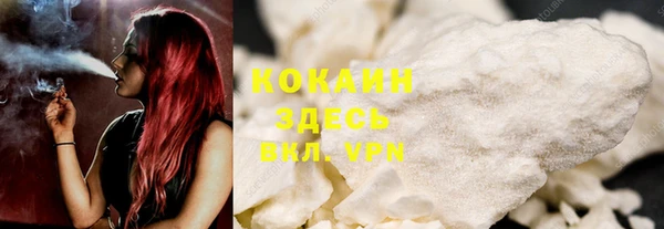 PSILOCYBIN Ладушкин