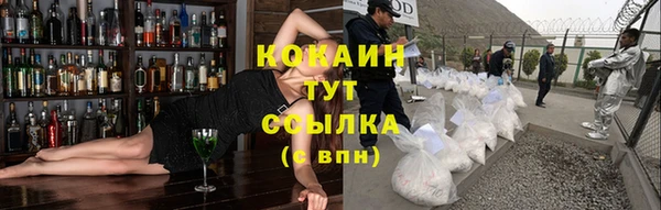 прущие грибы Лагань