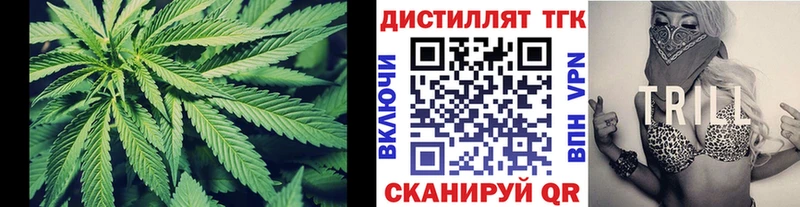 Купить закладки  Зеленогорск  Дистиллят ТГК гашишное масло 