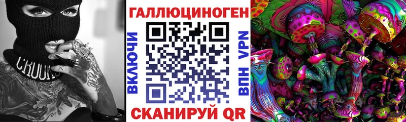 Псилоцибиновые грибы GOLDEN TEACHER  Купить где  Зеленогорск 