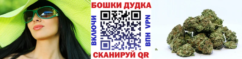 Бошки Шишки сатива  Купить закладки  Зеленогорск 